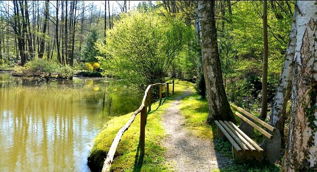 Ferienwohnung Am Waldsee Mit Schwimmbad 게른스바흐 외부 사진