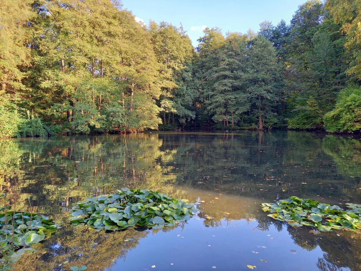 Ferienwohnung Am Waldsee Mit Schwimmbad 게른스바흐 외부 사진